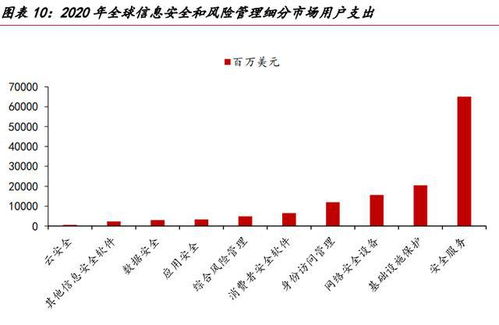網絡安全的未來在于服務 網絡與信息安全軟件開發的發展趨勢